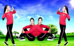 丹阳里庄广场舞《玩腻》网红扭胯健身舞32步 背面演示及分解教学