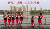 青儿广场舞《红红红枣宴》健身舞 演示和分解动作教学 编舞青儿