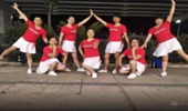 赣州康康广场舞《浪青海》动感好听的舞曲 演示和分解动作教学 编舞康康