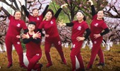谢春燕广场舞《粉红色的回忆》保健肩部操 演示和分解动作教学 编舞谢春燕