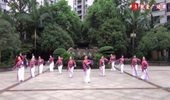 幸福天天广场舞《桃花珺珺杨柳依》演示和分解动作教学 编舞幸福天天