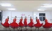 刘荣广场舞《中国美草原美》演示和分解动作教学 编舞刘荣