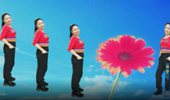 河南丽儿广场舞《微信小乞丐》简单现代舞32步 演示和分解动作教学