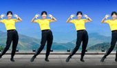 阿采广场舞《小花DJ》健身操排毒排汗更瘦更健康 演示和分解动作教学