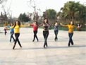 温州燕子广场舞 印度风情