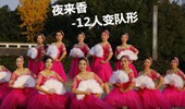 茉莉广场舞《夜来香》12人变队形新版扇子舞适合演出 演示和分解动作教学