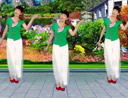 上海伟伟广场舞《梨花情》演示和分解动作教学 编舞伟伟