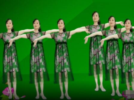 雪儿广场舞《军中绿花》32步简单易学送给最可爱的子弟 背面演示及分解教学