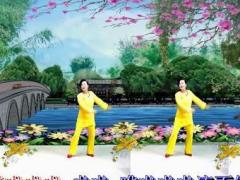 杭州依依广场舞《三月里的小雨》背面演示及分解教学 编舞依依