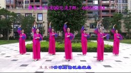 舞在深圳湾广场舞忘川河 附分解动作教学 原创编舞雨丝
