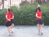 江南雨广场舞两颗年轻的心 双人舞 附分解动作教学 原创编舞凤玲