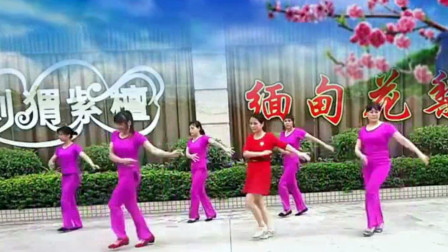 玫瑰怡林广场舞《万树繁花》
