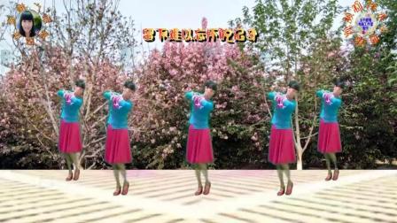 阳光美梅广场舞【梨花白】3古典舞2018最新广场舞视频