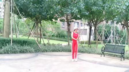 雪儿c广场舞《九妹》DJ版网红摆胯32步舞蹈含分解教学