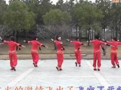 动动广场舞火火的中国 正背面口令分解动作教学 动动编舞
