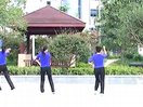 紫烟广场舞59 练功舞